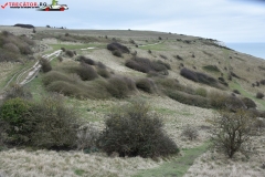 The White Cliffs of Dover 081