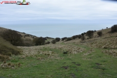 The White Cliffs of Dover 085