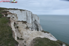 The White Cliffs of Dover 102