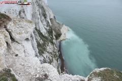 The White Cliffs of Dover 103