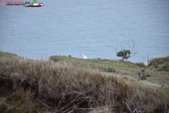 The White Cliffs of Dover 133