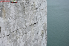 The White Cliffs of Dover 139