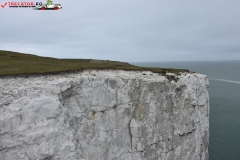 The White Cliffs of Dover 142