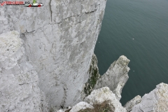 The White Cliffs of Dover 144