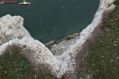 The White Cliffs of Dover 145