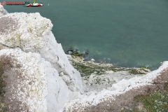 The White Cliffs of Dover 146