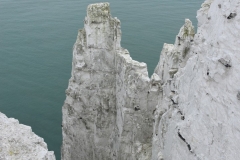 The White Cliffs of Dover 150