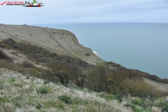 The White Cliffs of Dover 161