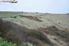 The White Cliffs of Dover 162