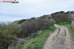 The White Cliffs of Dover 165