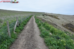 The White Cliffs of Dover 166