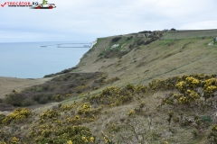 The White Cliffs of Dover 172