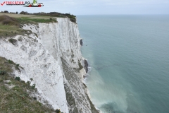 The White Cliffs of Dover 185