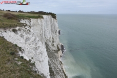 The White Cliffs of Dover 189