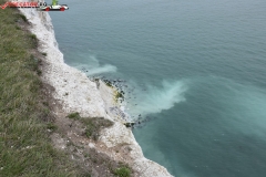 The White Cliffs of Dover 216