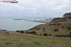 The White Cliffs of Dover 221