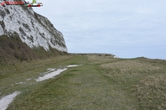 The White Cliffs of Dover 230