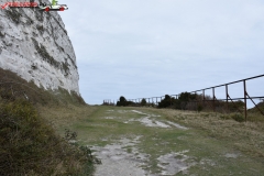 The White Cliffs of Dover 233