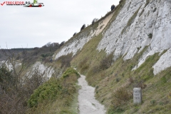 The White Cliffs of Dover 236