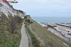 The White Cliffs of Dover 238