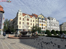 Timisoara iulie 2023 02