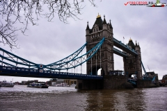 Tower Bridge Londra 08