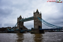 Tower Bridge Londra 81