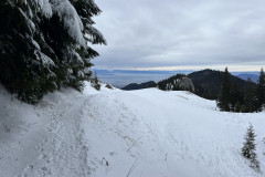 Traseu Drumul Familiar - Cabana Piatra Mare  ianuarie 2022 101