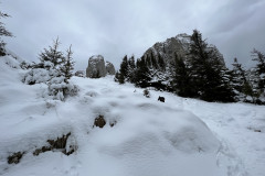 Traseu Drumul Familiar - Cabana Piatra Mare  ianuarie 2022 121