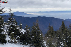 Traseu Drumul Familiar - Cabana Piatra Mare  ianuarie 2022 125