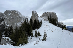 Traseu Drumul Familiar - Cabana Piatra Mare  ianuarie 2022 132