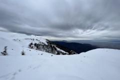 Traseu Drumul Familiar - Cabana Piatra Mare  ianuarie 2022 147