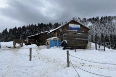 Traseu Drumul Familiar - Cabana Piatra Mare  ianuarie 2022 65