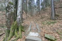 Traseul 300 de scări Slănic Moldova 12