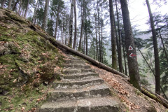 Traseul 300 de scări Slănic Moldova 20
