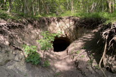 Tunelul cu lilieci din Canaraua Fetii 19