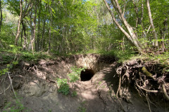 Tunelul cu lilieci din Canaraua Fetii 20