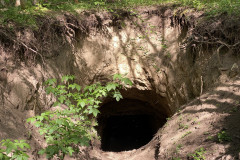 Tunelul cu lilieci din Canaraua Fetii 21