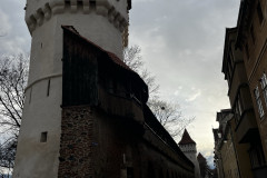 Turnul Olarilor si Turnul Dulgherilor, jud Sibiu, Romania 03