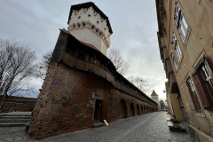 Turnul Olarilor si Turnul Dulgherilor, jud Sibiu, Romania 04