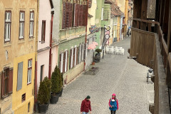 Turnul Olarilor si Turnul Dulgherilor, jud Sibiu, Romania 29