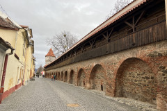 Turnul Olarilor si Turnul Dulgherilor, jud Sibiu, Romania 42