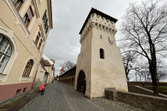 Turnul Olarilor si Turnul Dulgherilor, jud Sibiu, Romania 45