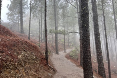 Varful Roque Nublo, Gran Canaria 04