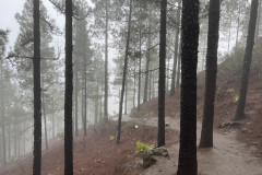 Varful Roque Nublo, Gran Canaria 05