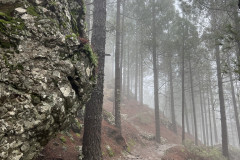 Varful Roque Nublo, Gran Canaria 06