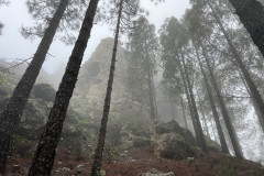 Varful Roque Nublo, Gran Canaria 07