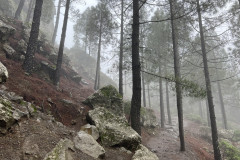 Varful Roque Nublo, Gran Canaria 08