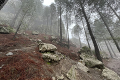 Varful Roque Nublo, Gran Canaria 09