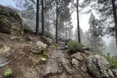 Varful Roque Nublo, Gran Canaria 10